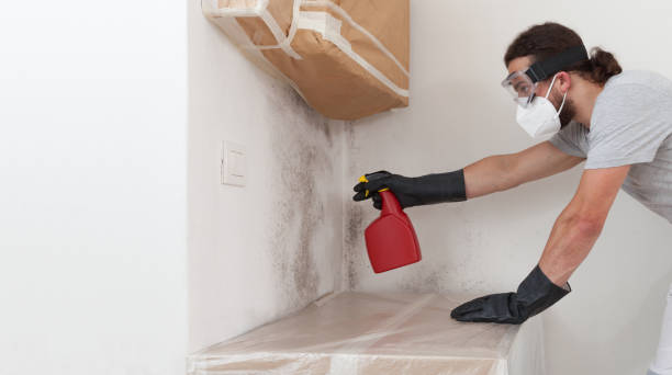 Professional Mold Testing technician working in Williston Park, NY