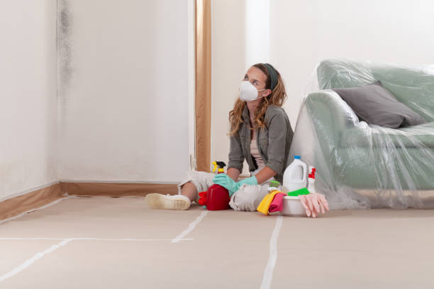 Reliable Mold Testing contractor in Williston Park, NY by WQB Mold Removal